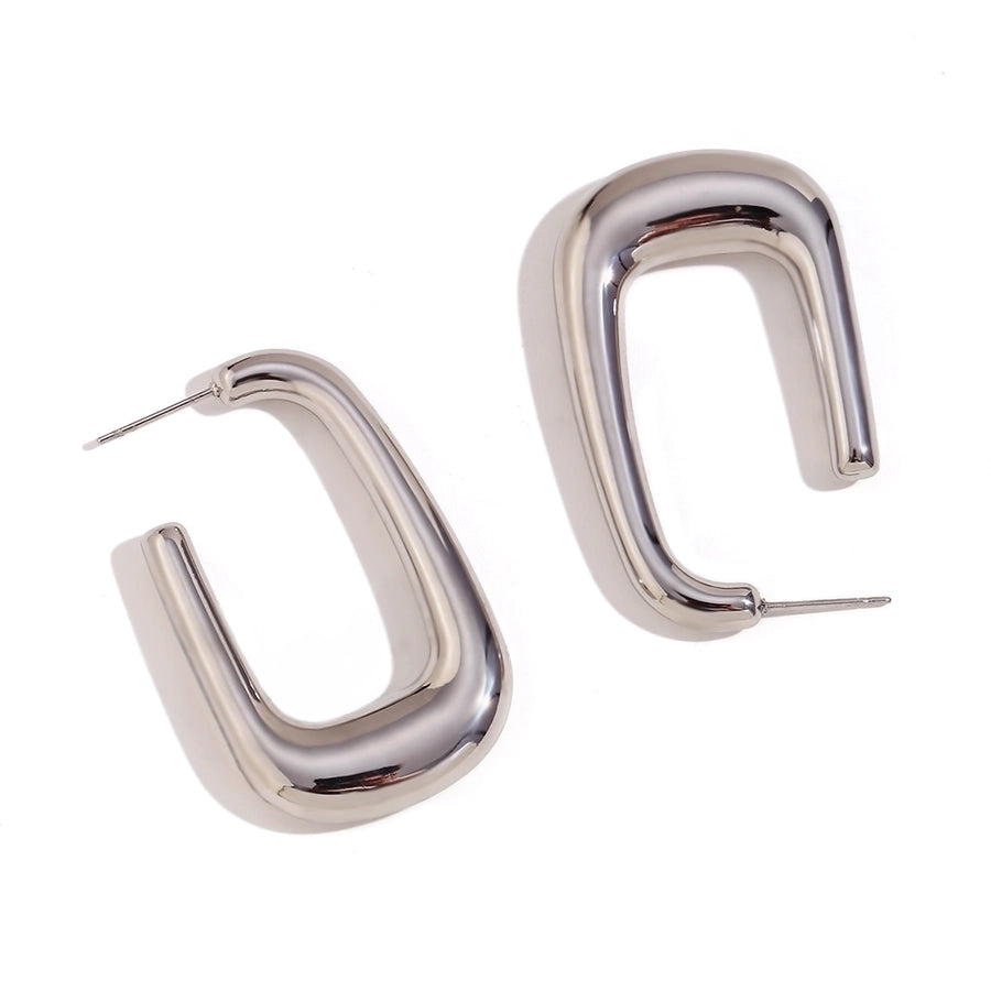 1 Pair Elegant Hook Style, Stainless Steel Earrings